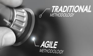 Drehknopf traditional - agile